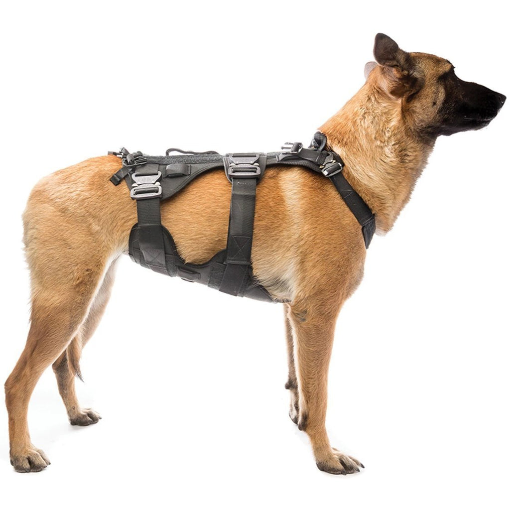 11 Best Tactical Dog Harnesses 2024 - Rebarkable