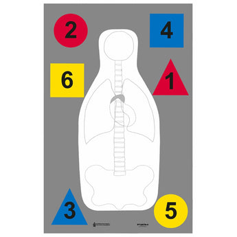 Anatomy Command Target (23"x35")