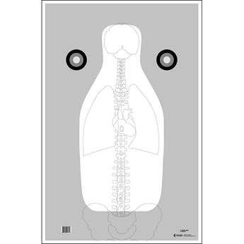 FBI Vital Anatomy  (23" x 35")