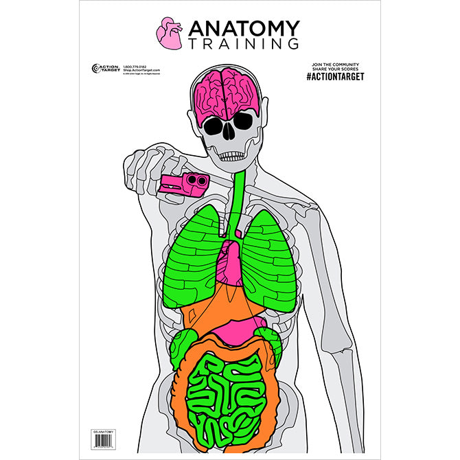 Multi Color; Action Target - Anatomy (23