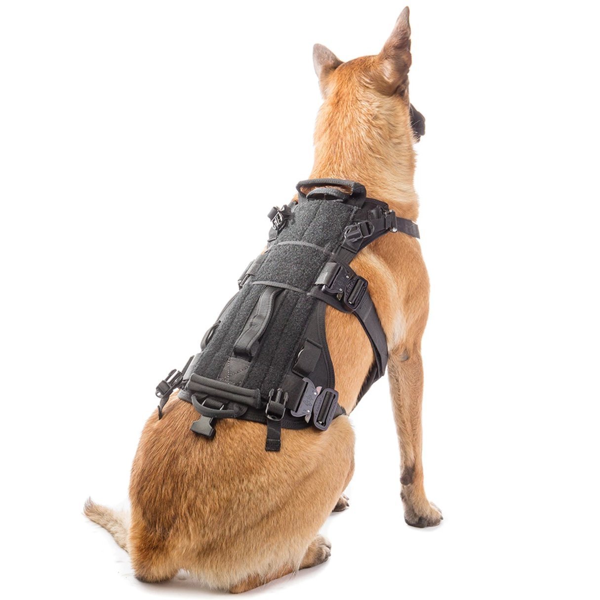 Canine clearance equipment harness